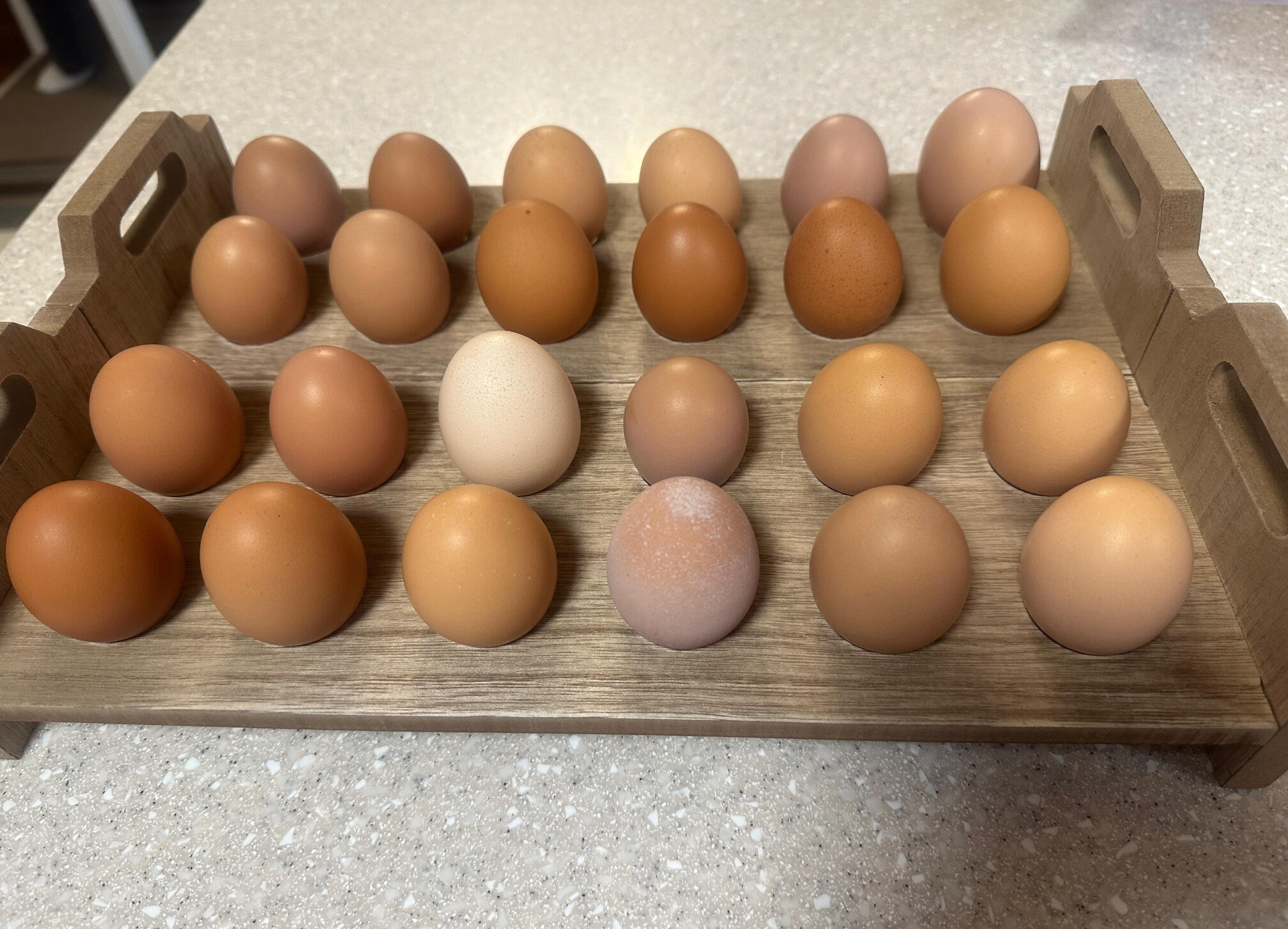 Fresh Eggs