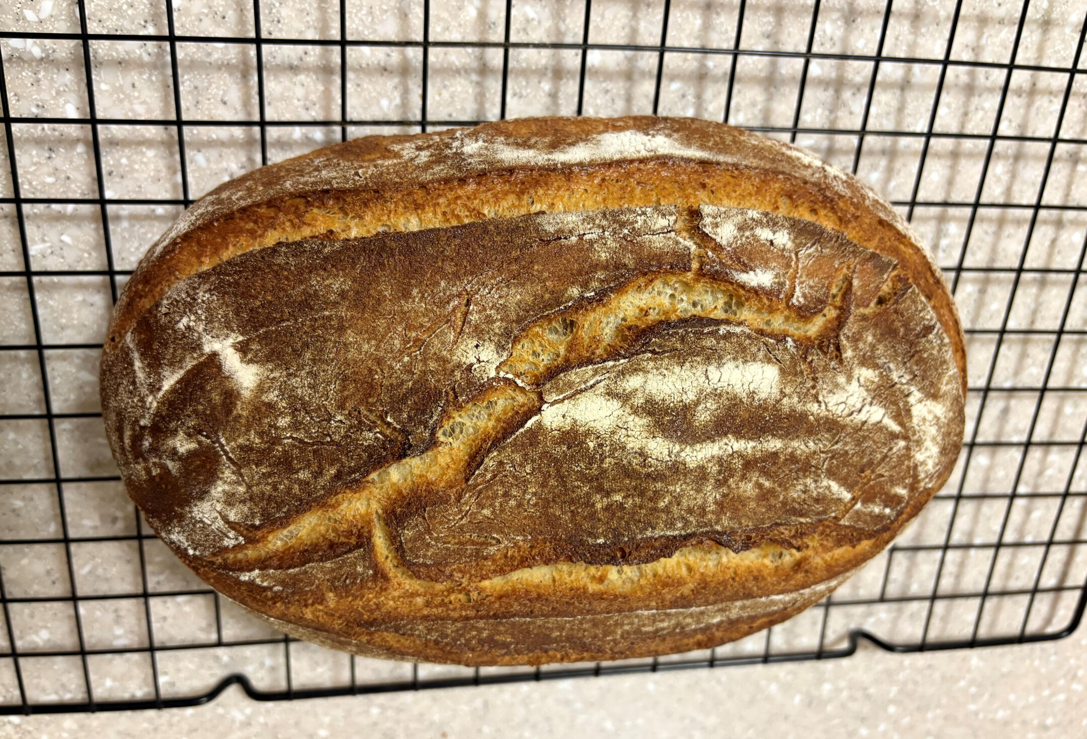Sour Dough Bread